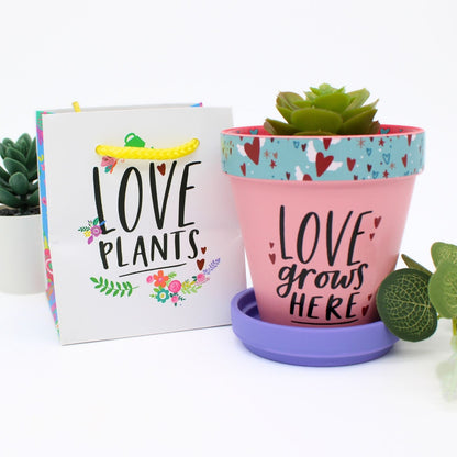 Love Plants Love Grows Here Pink Painted Terracotta Plant Pot Gift Idea