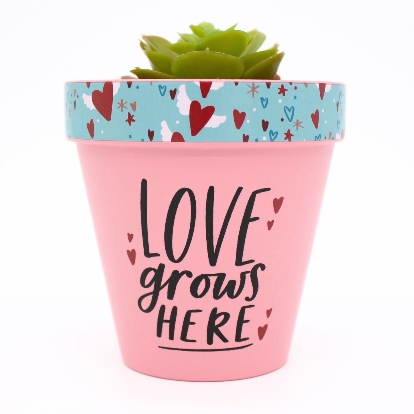 Love Plants Love Grows Here Pink Painted Terracotta Plant Pot Gift Idea