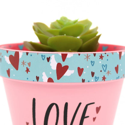 Love Plants Love Grows Here Pink Painted Terracotta Plant Pot Gift Idea
