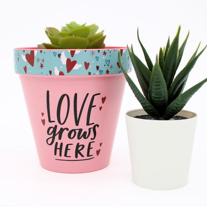Love Plants Love Grows Here Pink Painted Terracotta Plant Pot Gift Idea