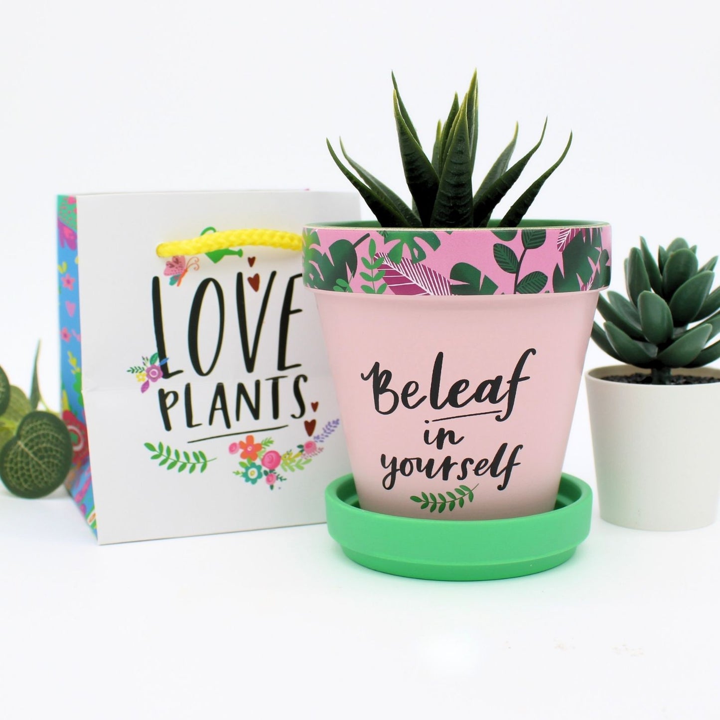 Love Plants Beleaf In Yourself Pink Painted Terracotta Plant Pot Gift Idea