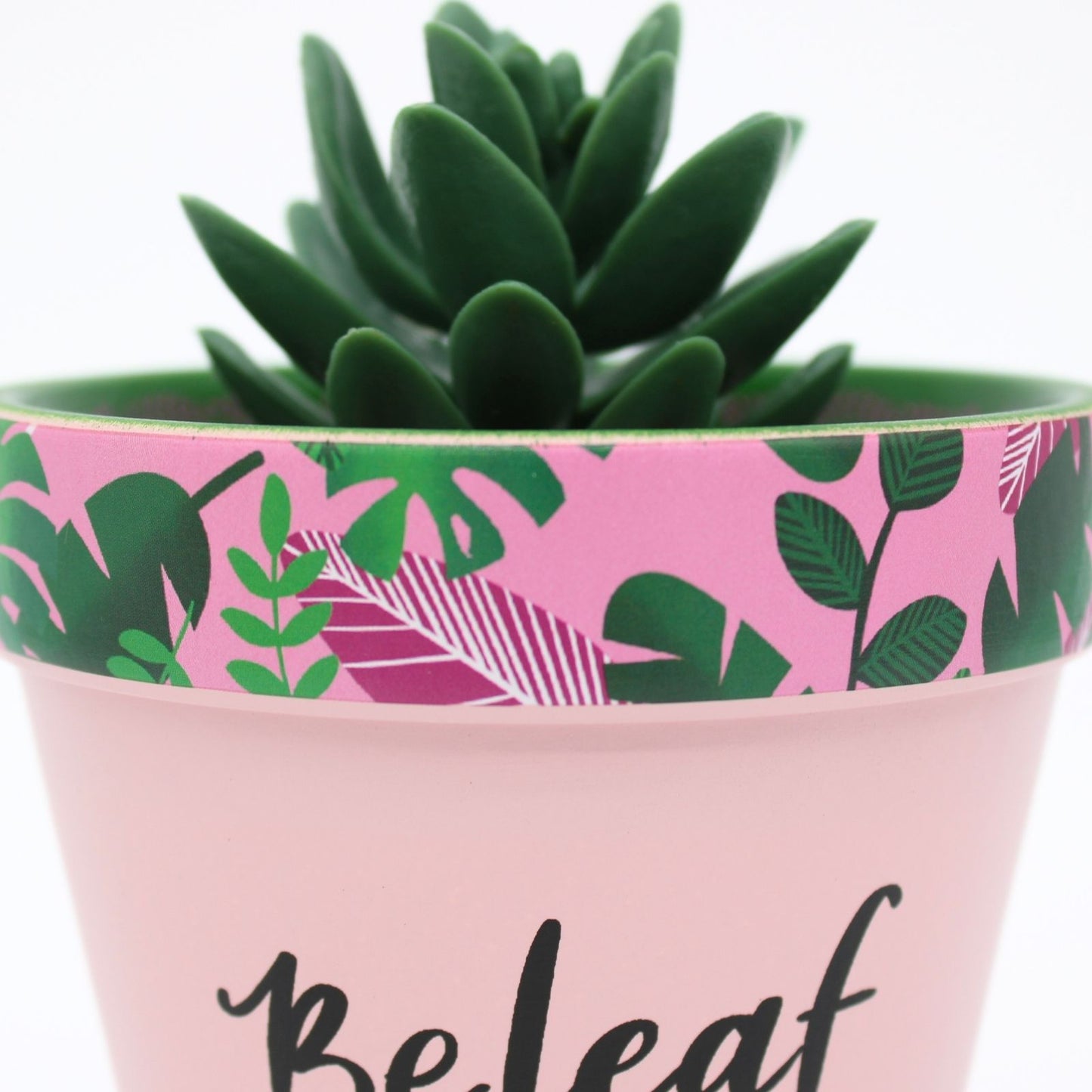 Love Plants Beleaf In Yourself Pink Painted Terracotta Plant Pot Gift Idea
