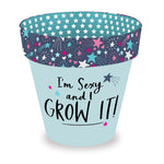 Love Plants I'm Sexy & I Grow It Blue Painted Terracotta Plant Pot Gift Idea