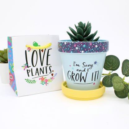 Love Plants I'm Sexy & I Grow It Blue Painted Terracotta Plant Pot Gift Idea