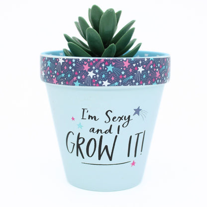 Love Plants I'm Sexy & I Grow It Blue Painted Terracotta Plant Pot Gift Idea