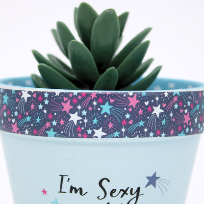Love Plants I'm Sexy & I Grow It Blue Painted Terracotta Plant Pot Gift Idea