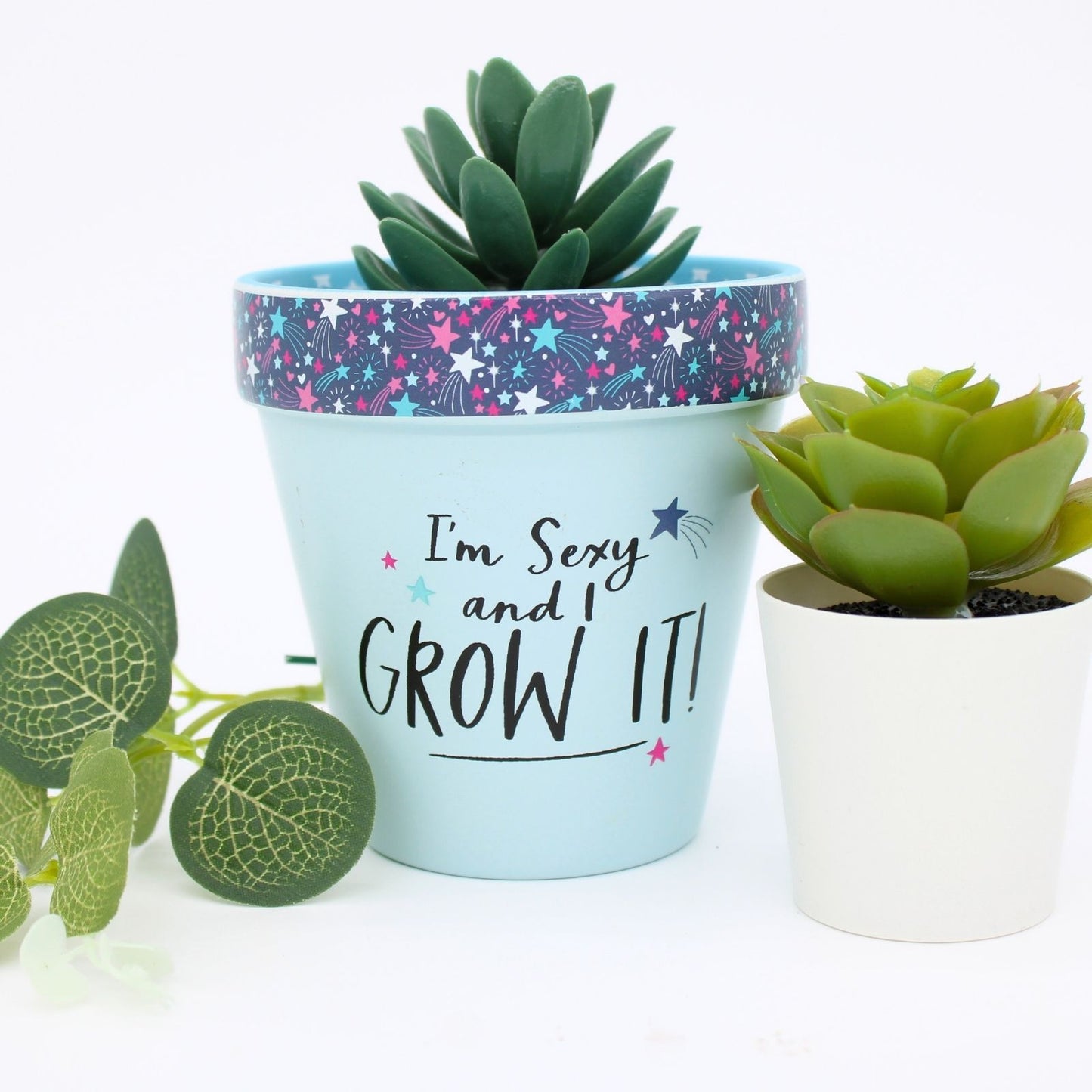 Love Plants I'm Sexy & I Grow It Blue Painted Terracotta Plant Pot Gift Idea