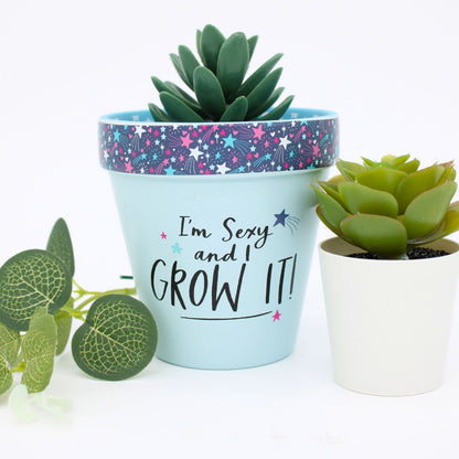 Love Plants I'm Sexy & I Grow It Blue Painted Terracotta Plant Pot Gift Idea