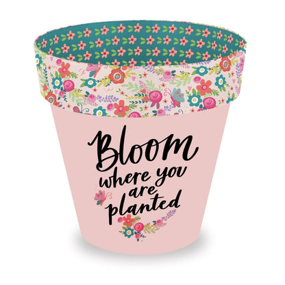 Love Plants Bloom Where You Are Planted Painted Terracotta Plant Pot Gift Idea
