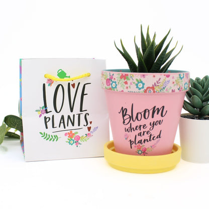 Love Plants Bloom Where You Are Planted Painted Terracotta Plant Pot Gift Idea