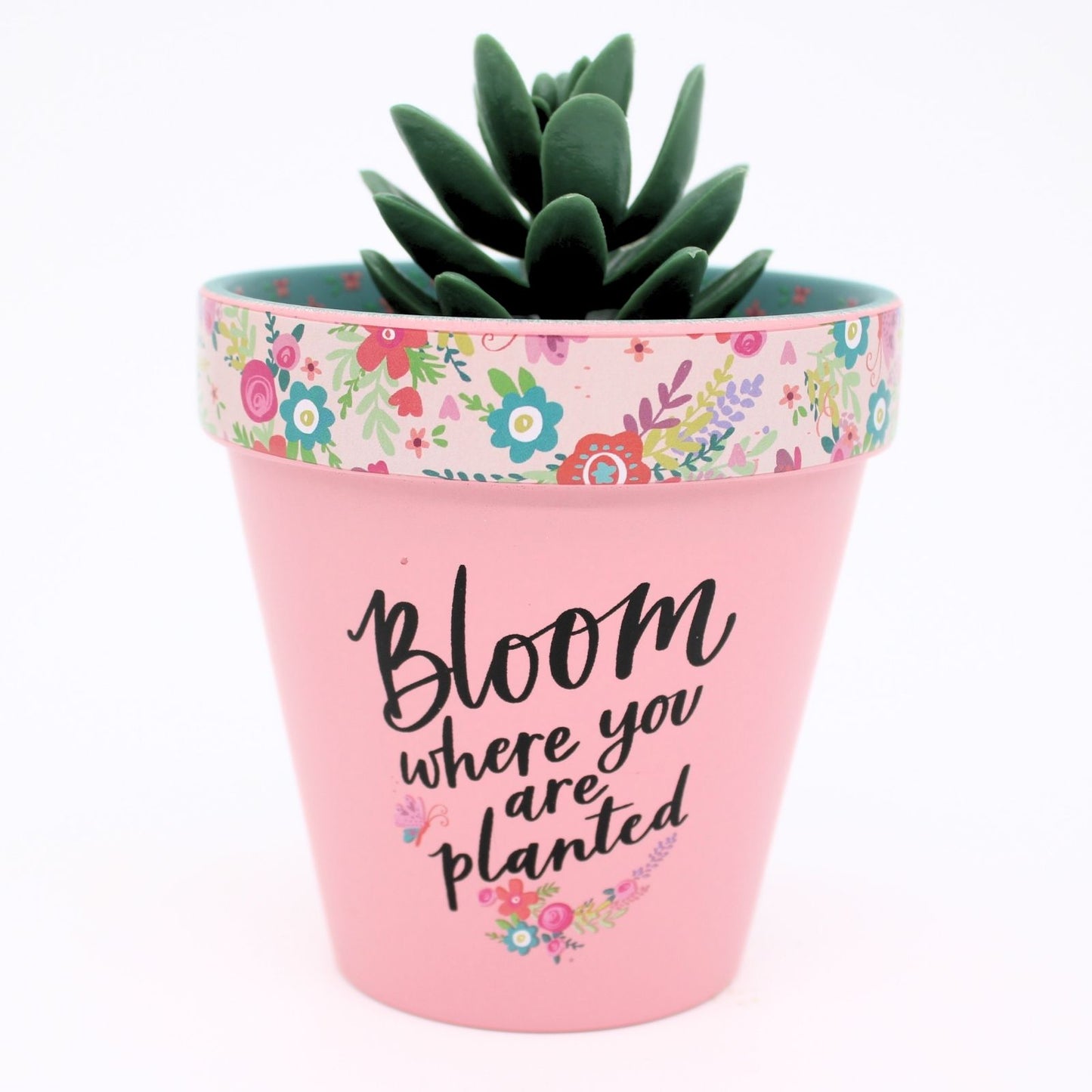 Love Plants Bloom Where You Are Planted Painted Terracotta Plant Pot Gift Idea