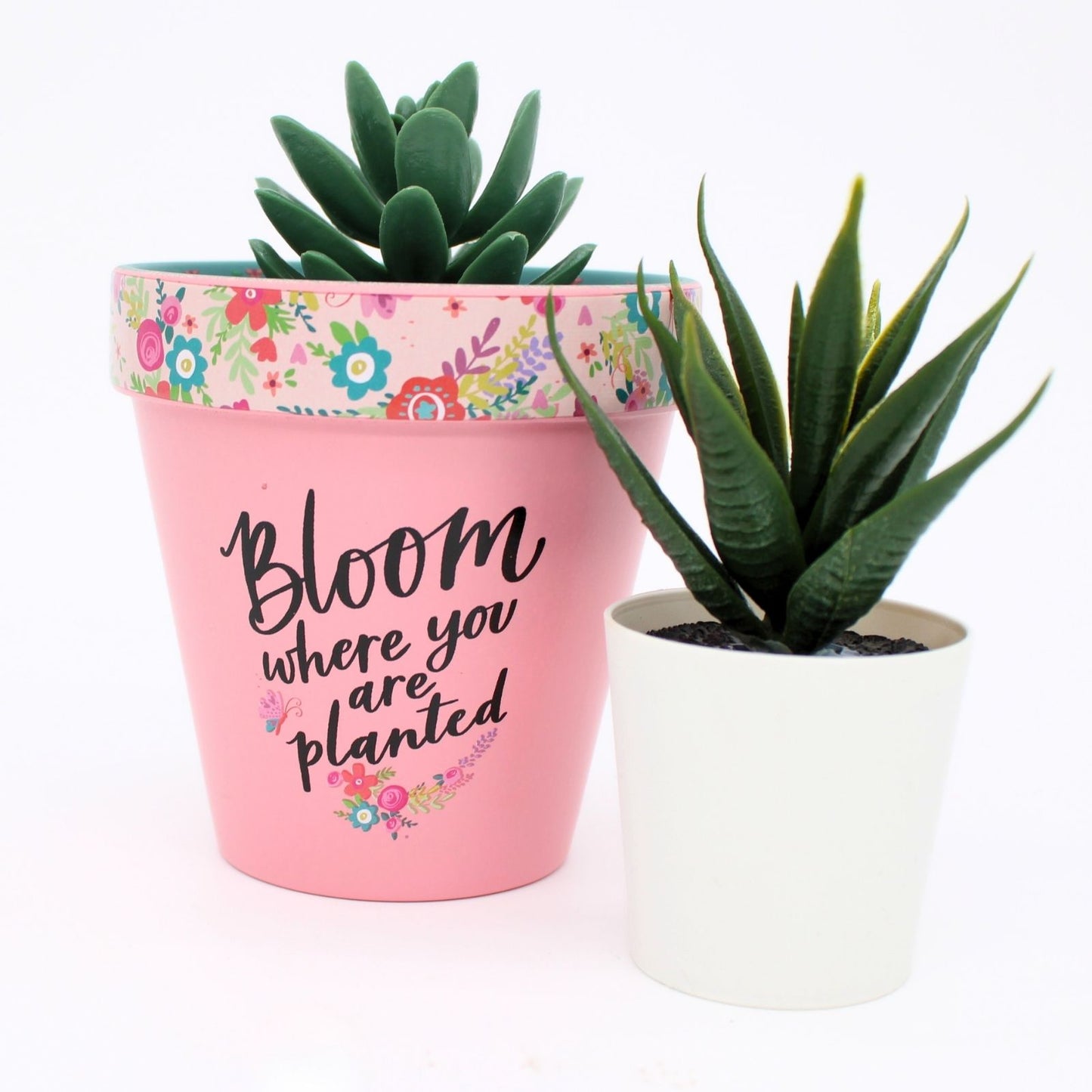 Love Plants Bloom Where You Are Planted Painted Terracotta Plant Pot Gift Idea