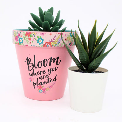 Love Plants Bloom Where You Are Planted Painted Terracotta Plant Pot Gift Idea