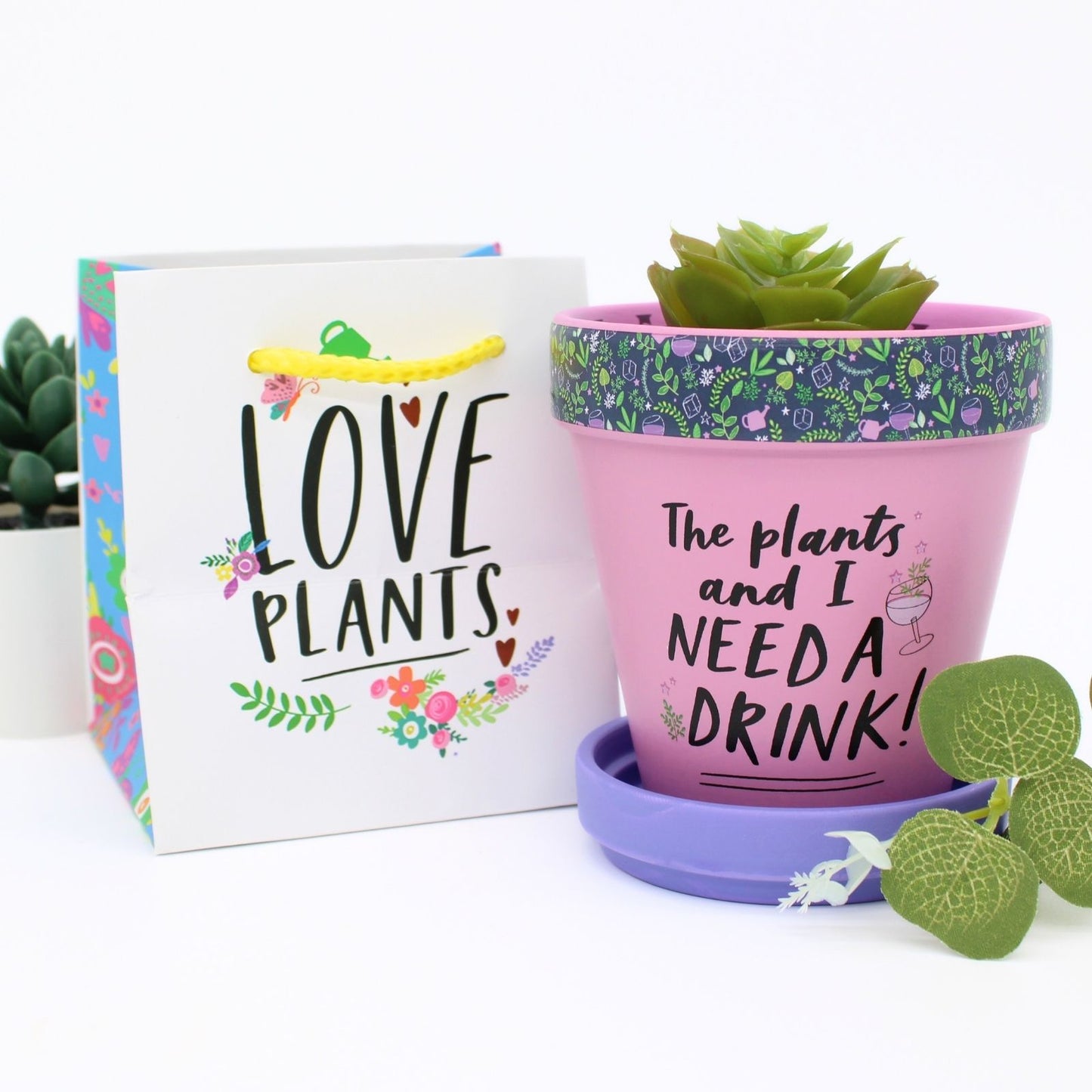 Love Plants The Plants & I Need A Drink! Painted Terracotta Plant Pot Gift Idea