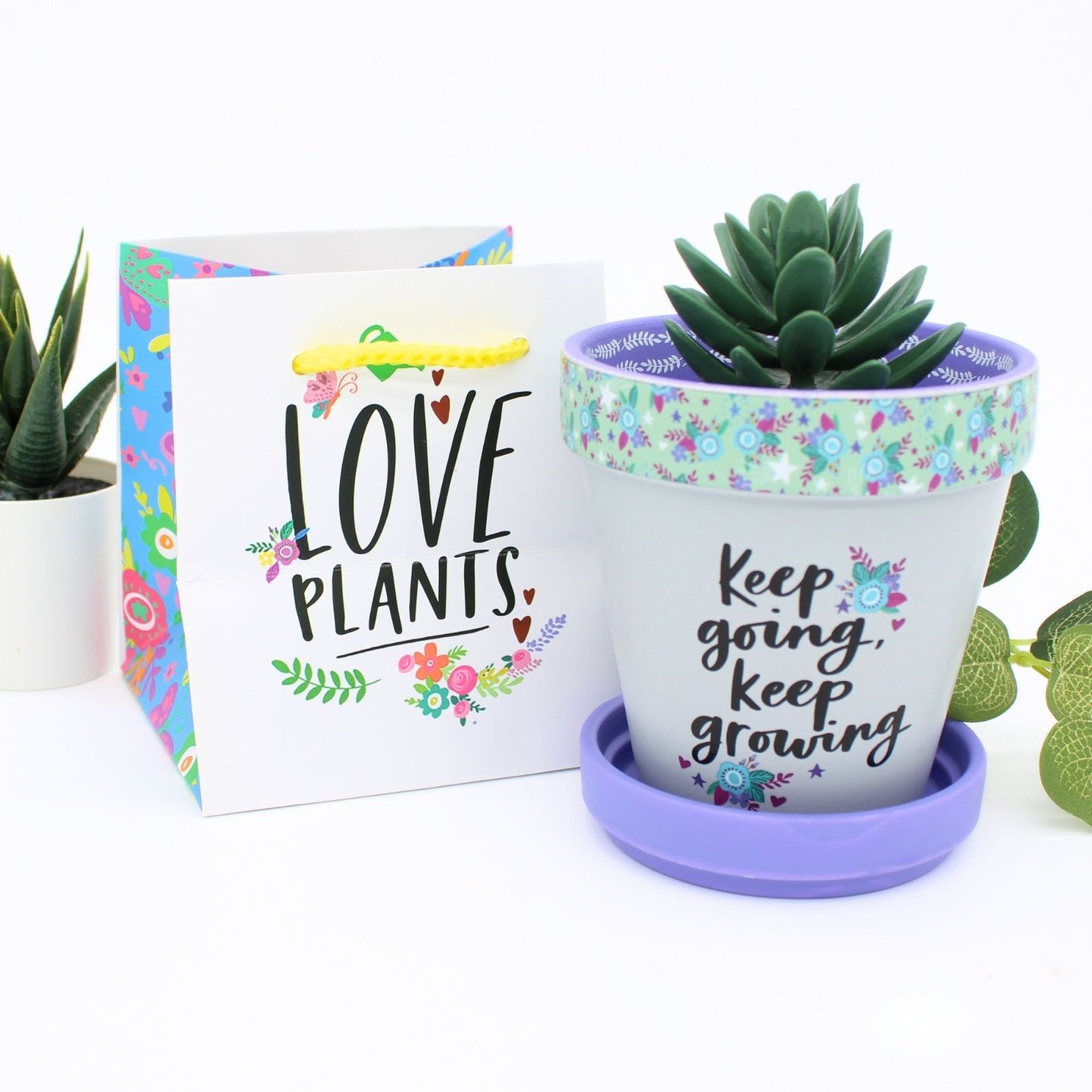 Love Plants Keep Going, Keep Growing Painted Terracotta Plant Pot Gift Idea