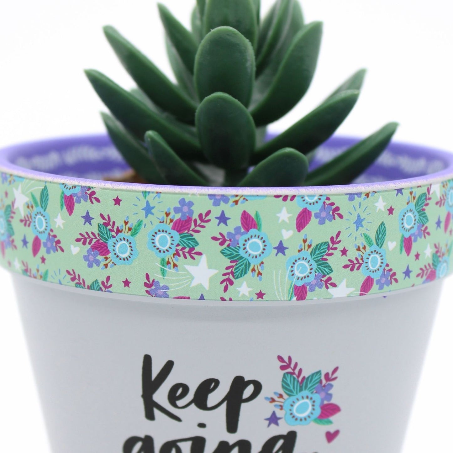 Love Plants Keep Going, Keep Growing Painted Terracotta Plant Pot Gift Idea