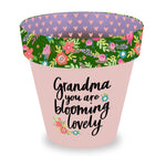 Love Plants Grandma You Are Blooming Lovely Painted Terracotta Plant Pot Gift