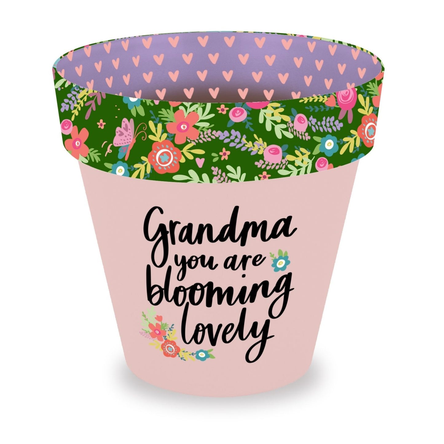 Love Plants Grandma You Are Blooming Lovely Painted Terracotta Plant Pot Gift