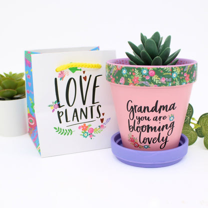 Love Plants Grandma You Are Blooming Lovely Painted Terracotta Plant Pot Gift