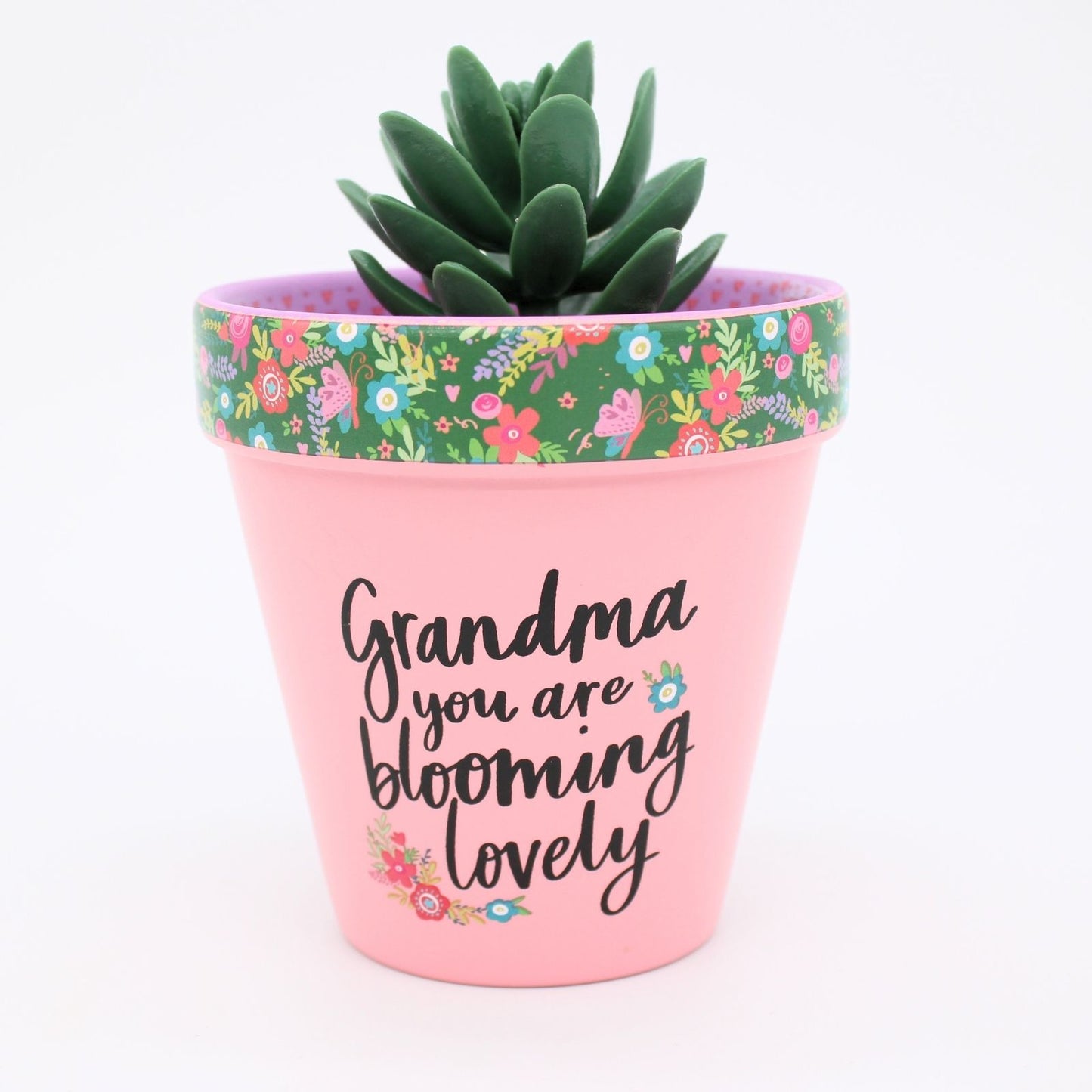 Love Plants Grandma You Are Blooming Lovely Painted Terracotta Plant Pot Gift