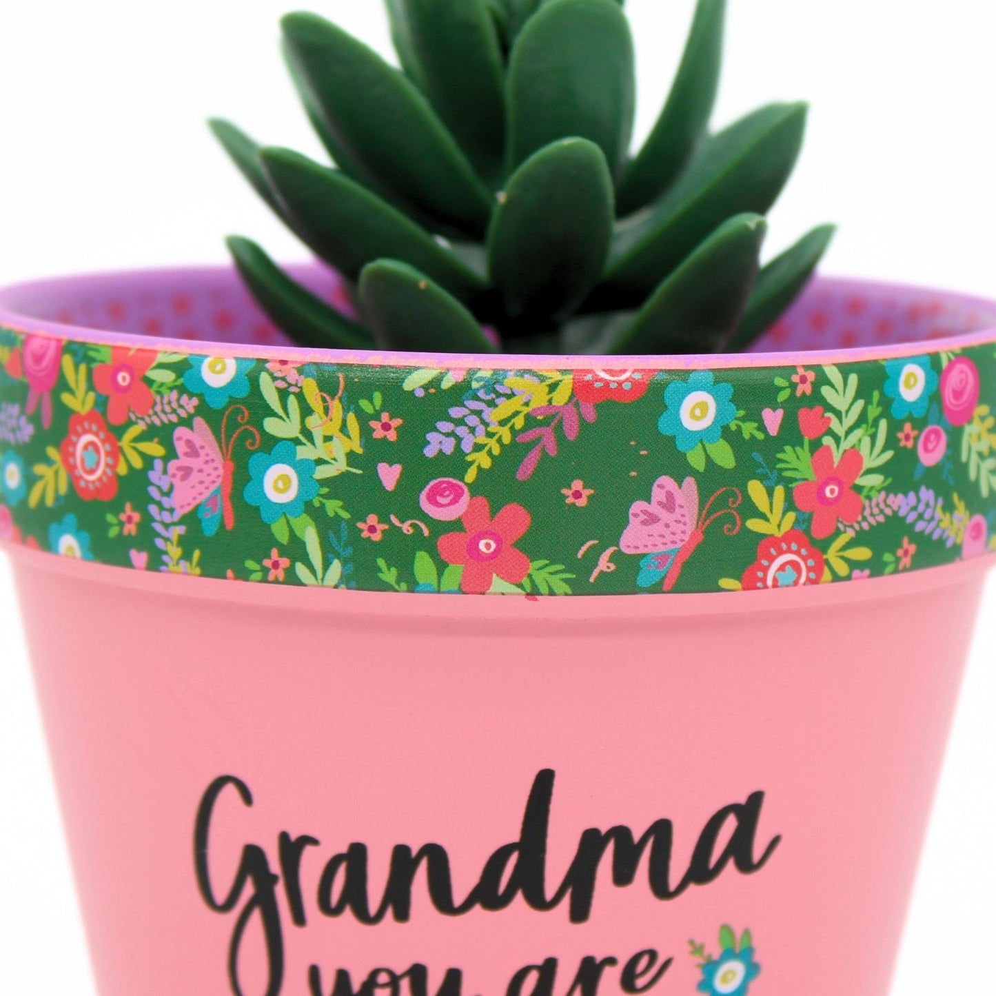 Love Plants Grandma You Are Blooming Lovely Painted Terracotta Plant Pot Gift
