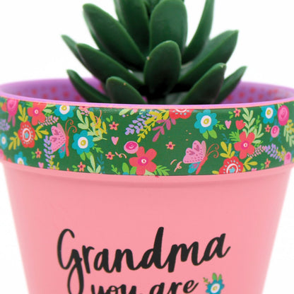 Love Plants Grandma You Are Blooming Lovely Painted Terracotta Plant Pot Gift