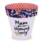 Love Plants Mum You Are Blooming Lovely Painted Terracotta Plant Pot Gift Idea
