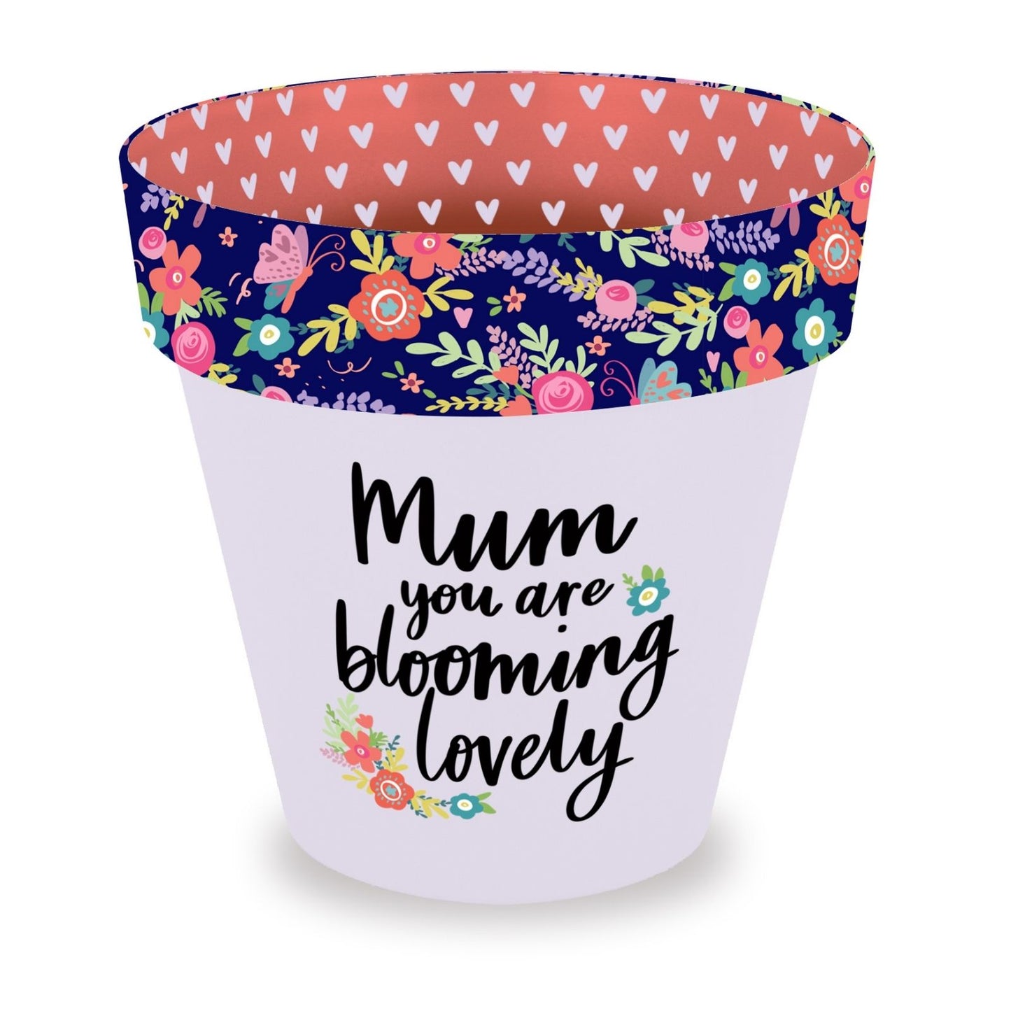 Love Plants Mum You Are Blooming Lovely Painted Terracotta Plant Pot Gift Idea