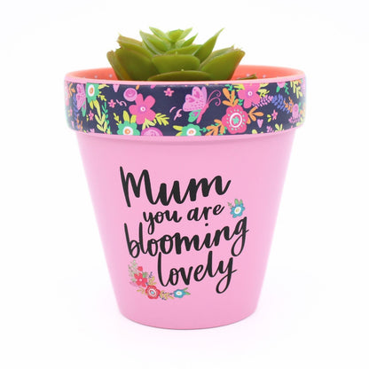 Love Plants Mum You Are Blooming Lovely Painted Terracotta Plant Pot Gift Idea