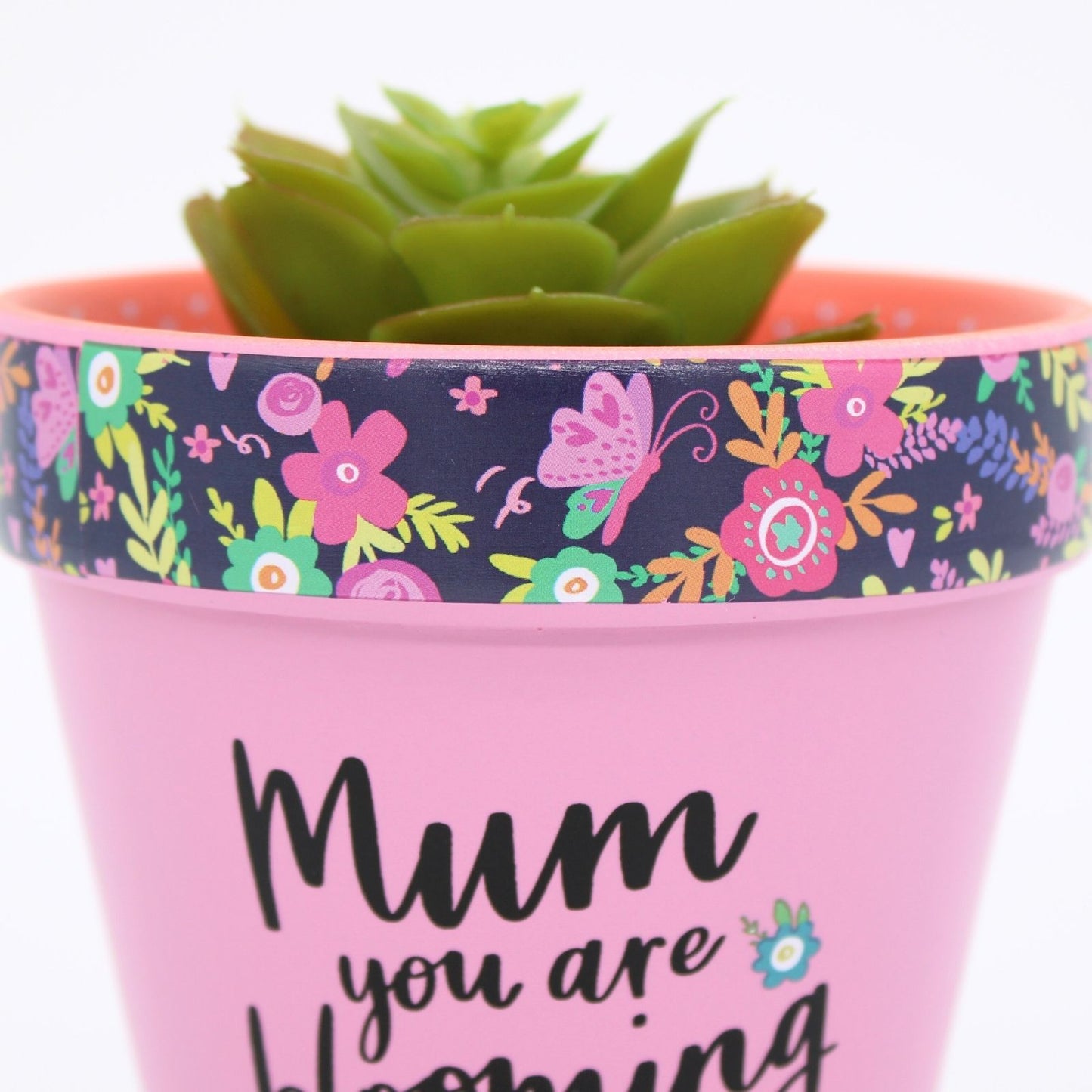 Love Plants Mum You Are Blooming Lovely Painted Terracotta Plant Pot Gift Idea