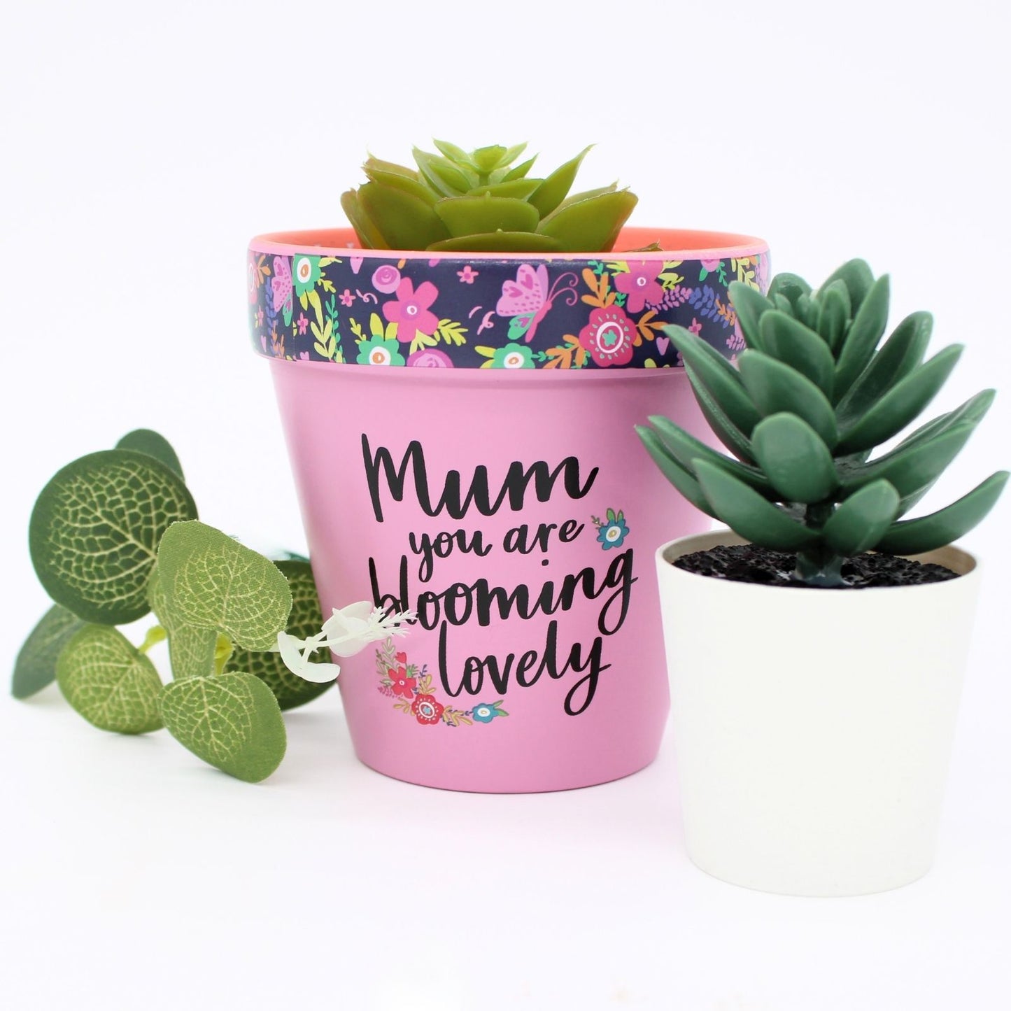 Love Plants Mum You Are Blooming Lovely Painted Terracotta Plant Pot Gift Idea