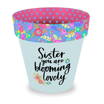 Love Plants Sister You Are Blooming Lovely Painted Terracotta Plant Pot Gift