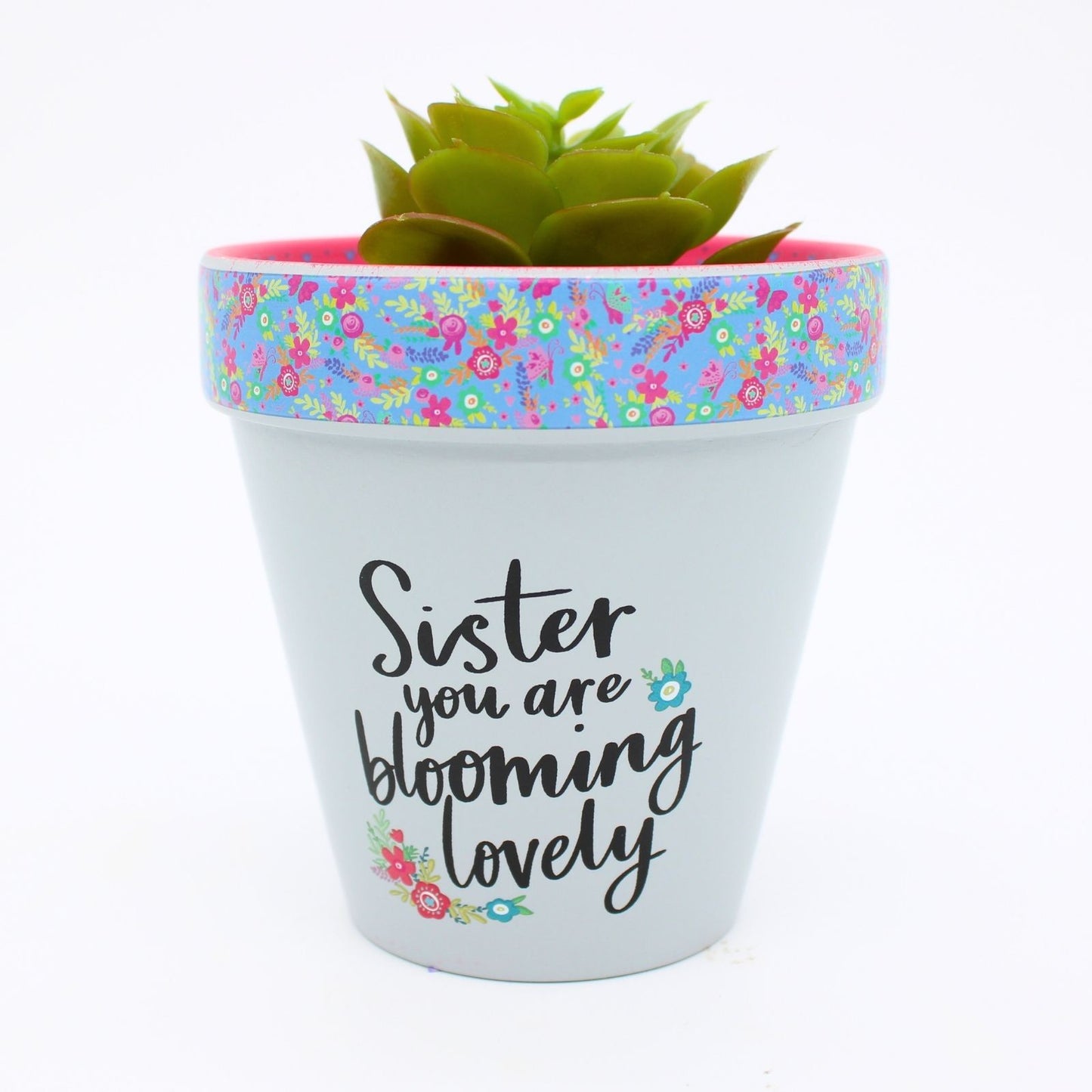 Love Plants Sister You Are Blooming Lovely Painted Terracotta Plant Pot Gift