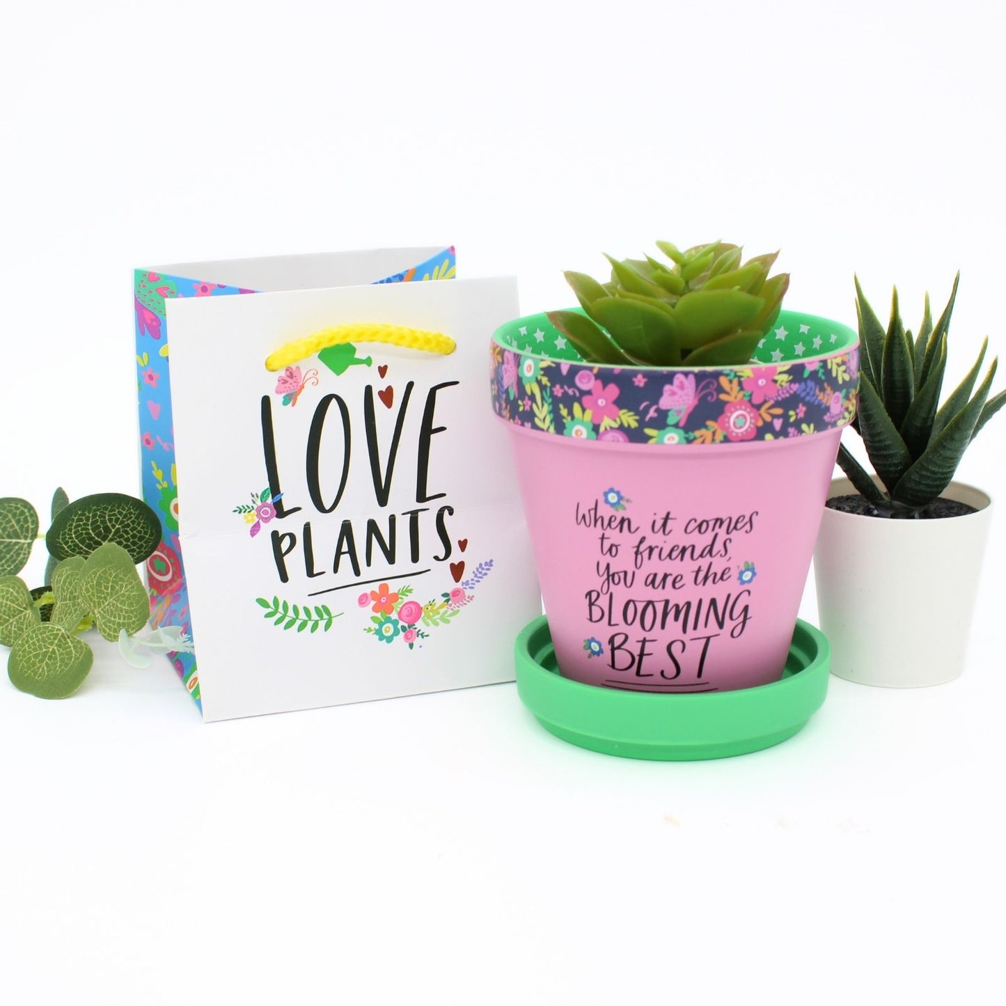 Love Plants Blooming Best Friend Painted Terracotta Plant Pot Gift Idea