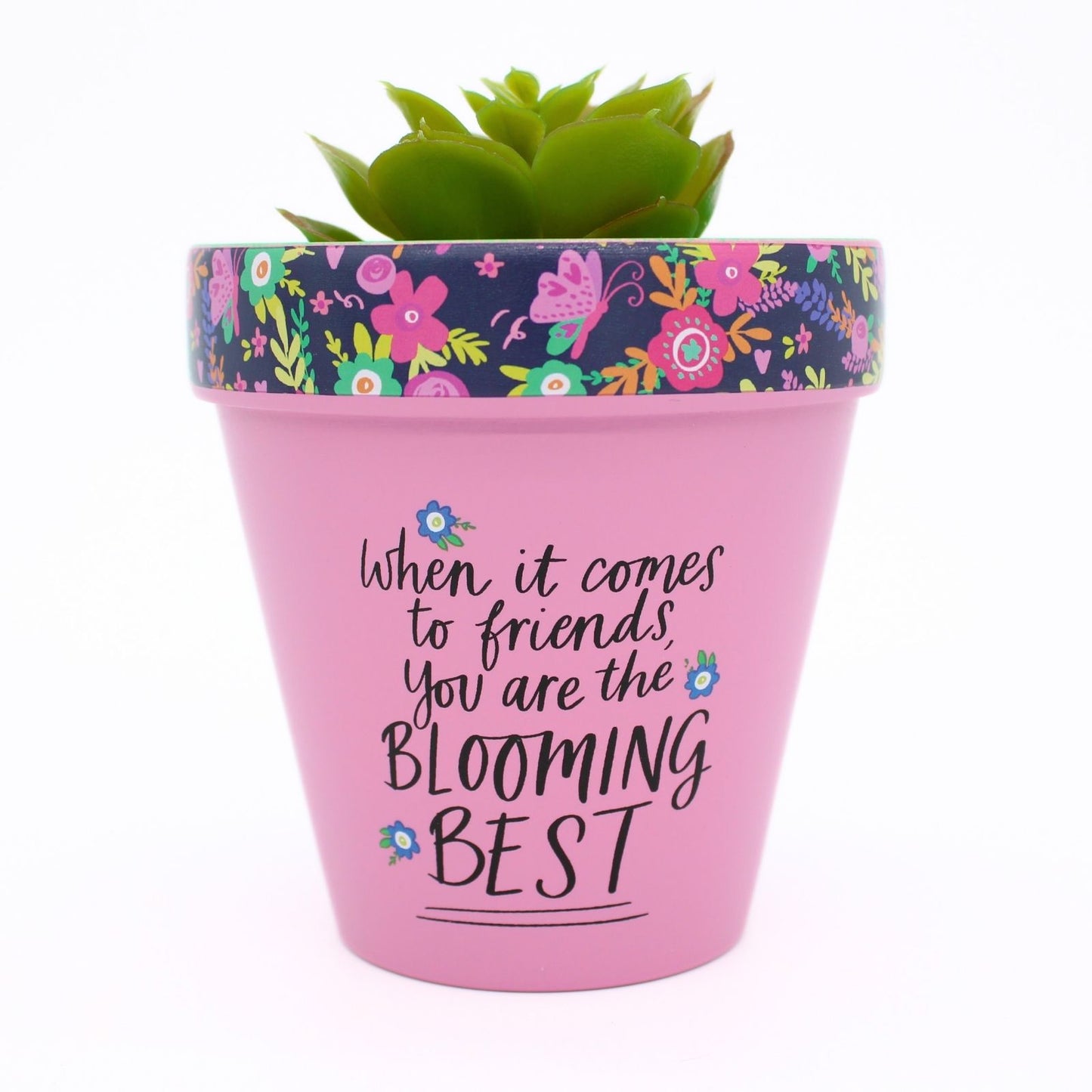 Love Plants Blooming Best Friend Painted Terracotta Plant Pot Gift Idea