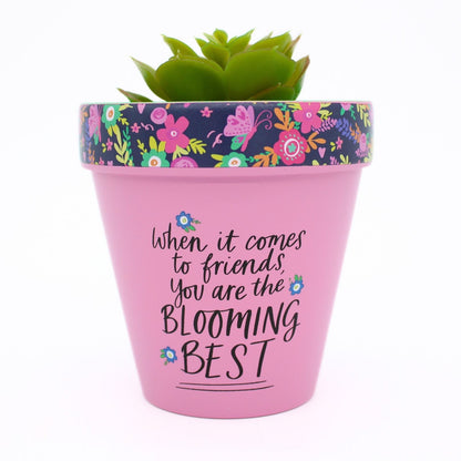 Love Plants Blooming Best Friend Painted Terracotta Plant Pot Gift Idea