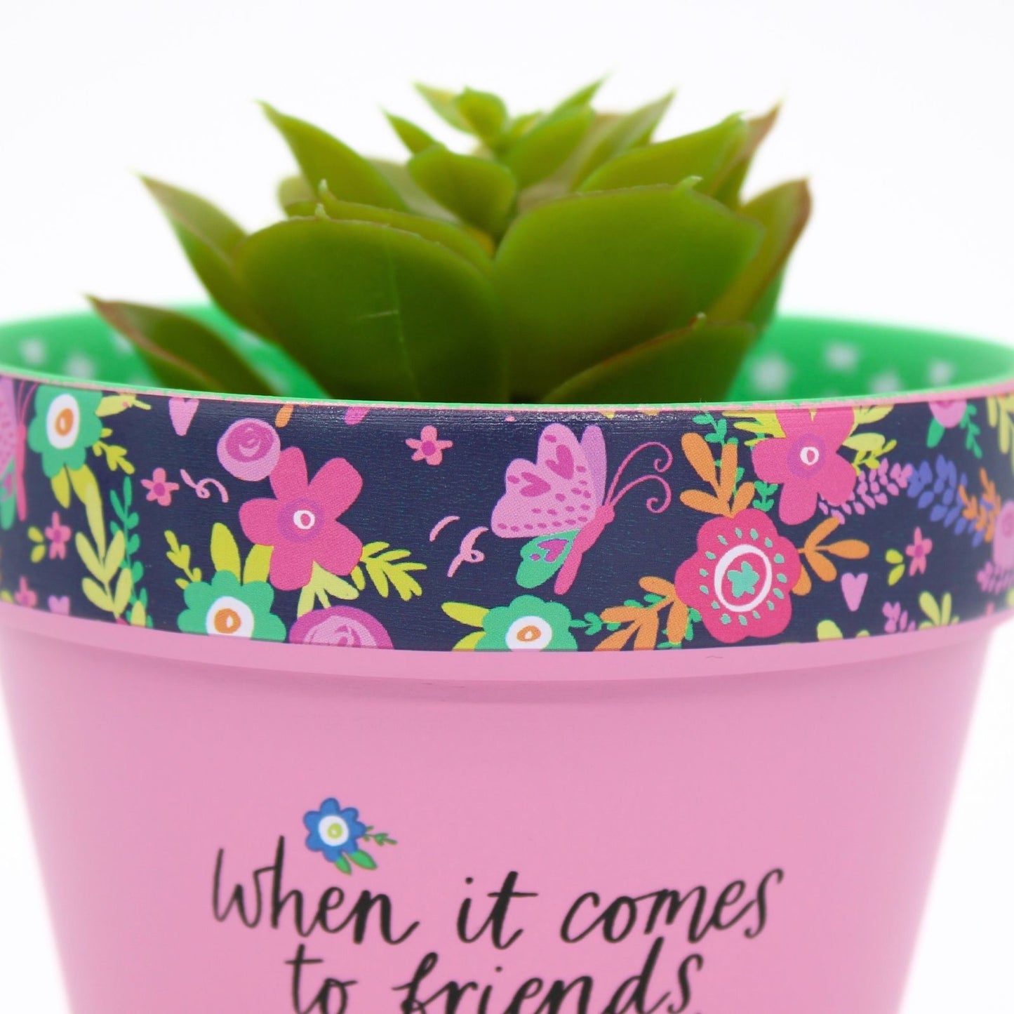 Love Plants Blooming Best Friend Painted Terracotta Plant Pot Gift Idea