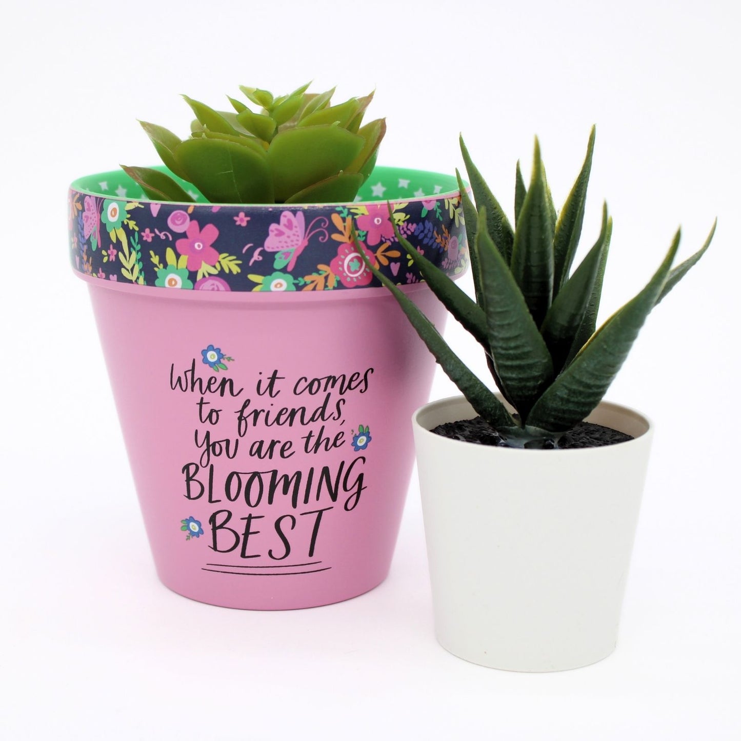 Love Plants Blooming Best Friend Painted Terracotta Plant Pot Gift Idea