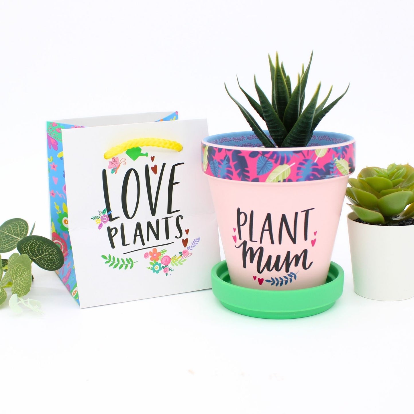 Love Plants Plant Mum Pink Painted Terracotta Plant Pot Gift Idea