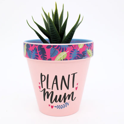 Love Plants Plant Mum Pink Painted Terracotta Plant Pot Gift Idea