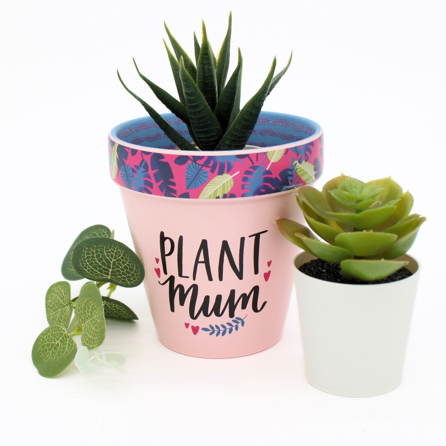 Love Plants Plant Mum Pink Painted Terracotta Plant Pot Gift Idea