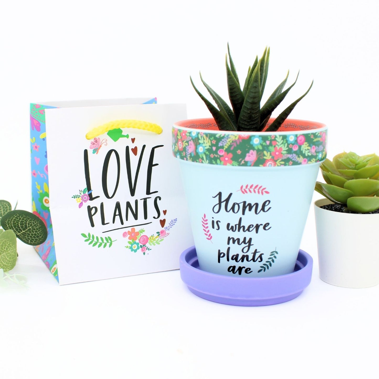 Love Plants Home Is Where My Plants Are Painted Terracotta Plant Pot Gift Idea