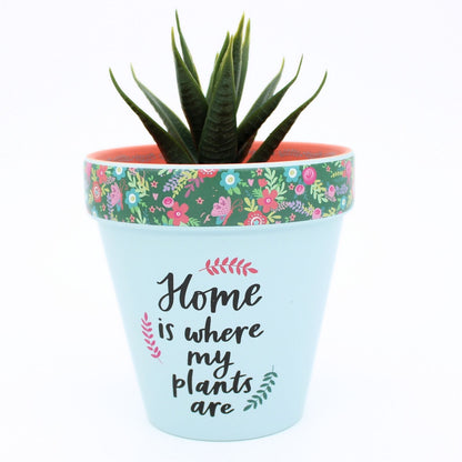 Love Plants Home Is Where My Plants Are Painted Terracotta Plant Pot Gift Idea