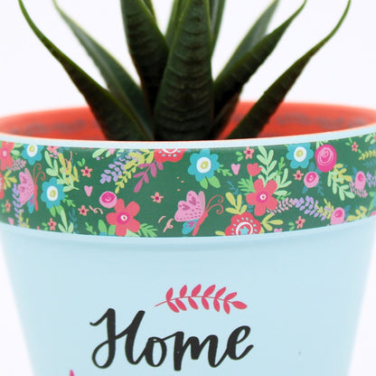 Love Plants Home Is Where My Plants Are Painted Terracotta Plant Pot Gift Idea