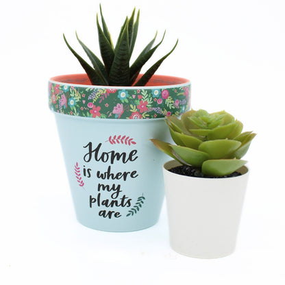 Love Plants Home Is Where My Plants Are Painted Terracotta Plant Pot Gift Idea