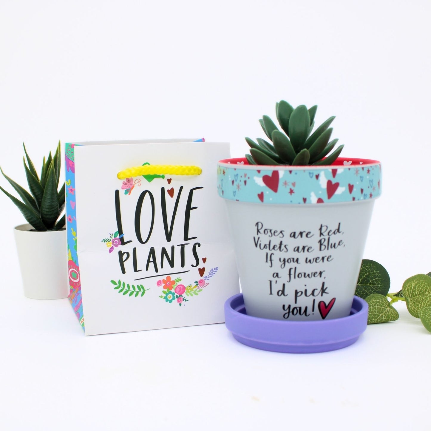 Love Plants If You Were A Flower I'd Pick You Painted Terracotta Plant Pot Gift