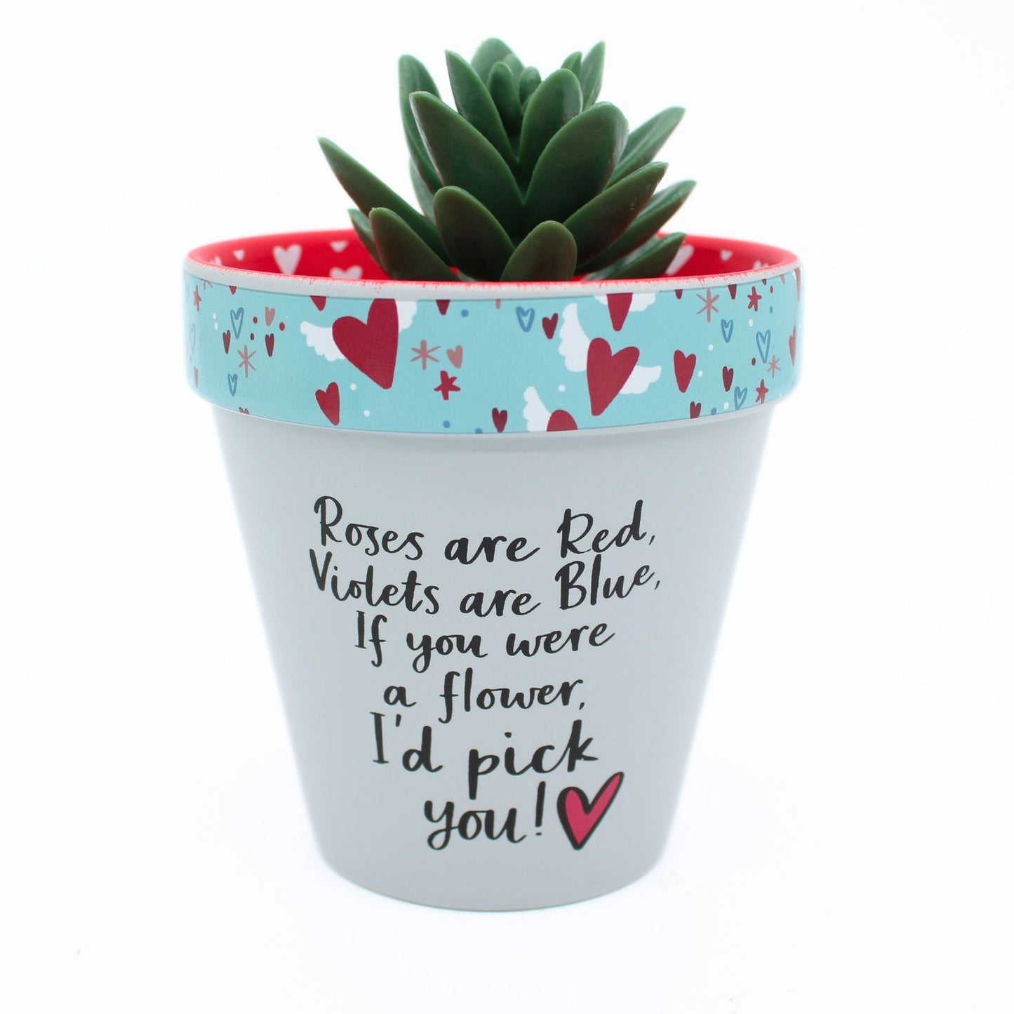 Love Plants If You Were A Flower I'd Pick You Painted Terracotta Plant Pot Gift