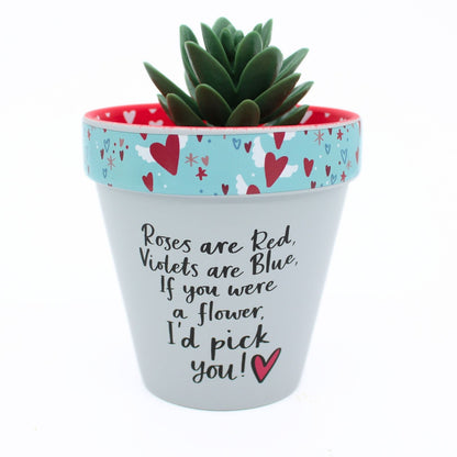Love Plants If You Were A Flower I'd Pick You Painted Terracotta Plant Pot Gift