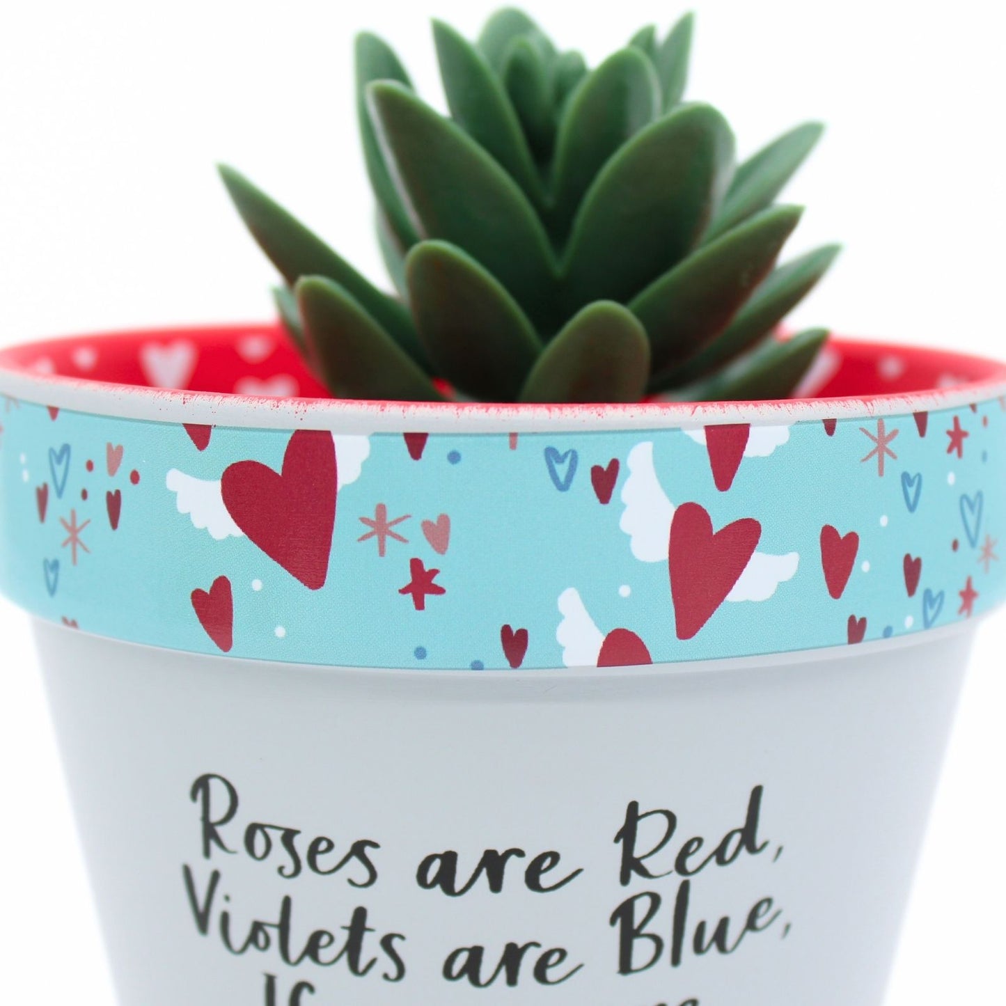 Love Plants If You Were A Flower I'd Pick You Painted Terracotta Plant Pot Gift