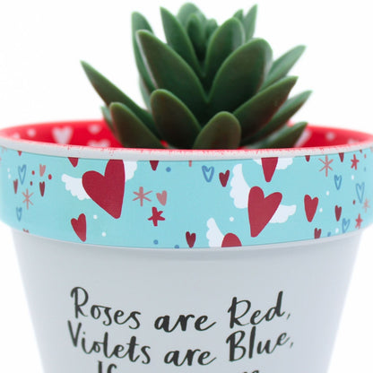 Love Plants If You Were A Flower I'd Pick You Painted Terracotta Plant Pot Gift